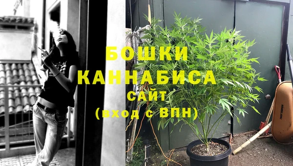 ГАЛЛЮЦИНОГЕННЫЕ ГРИБЫ Михайловка