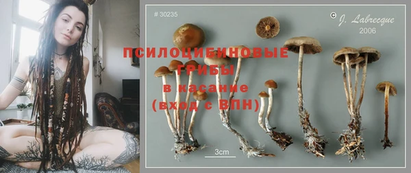 ГАЛЛЮЦИНОГЕННЫЕ ГРИБЫ Михайловка
