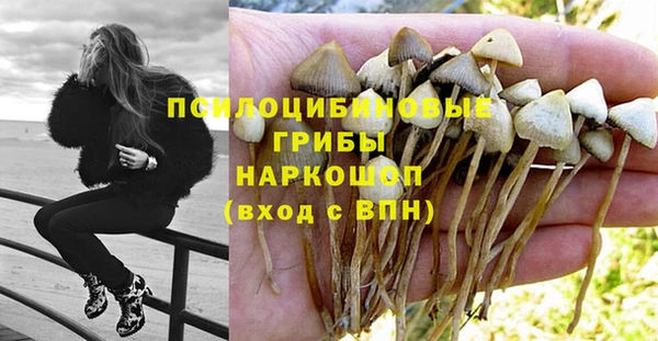 гидропоника Медногорск
