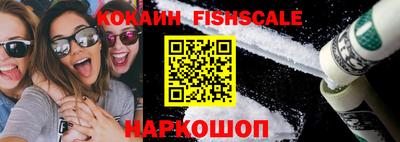 гашик Камышлов