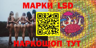 гашик Камышлов