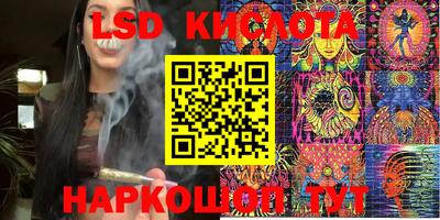 молекула духа Берёзовский