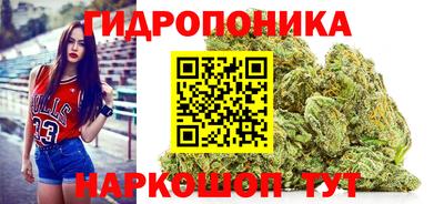 гашик Камышлов