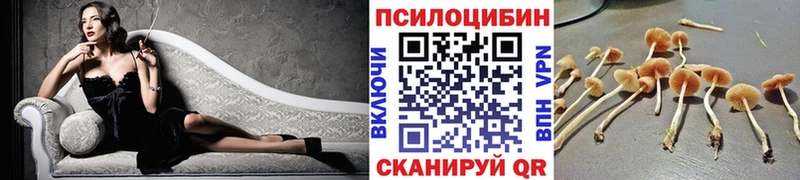 сайты даркнета Telegram  Учалы  Псилоцибиновые грибы GOLDEN TEACHER 