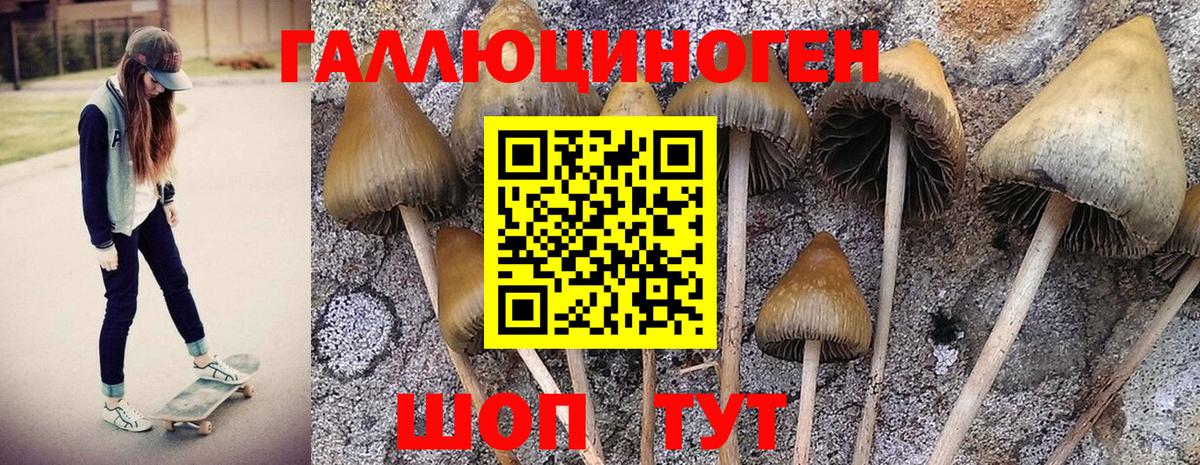 Галлюциногенные грибы GOLDEN TEACHER Учалы